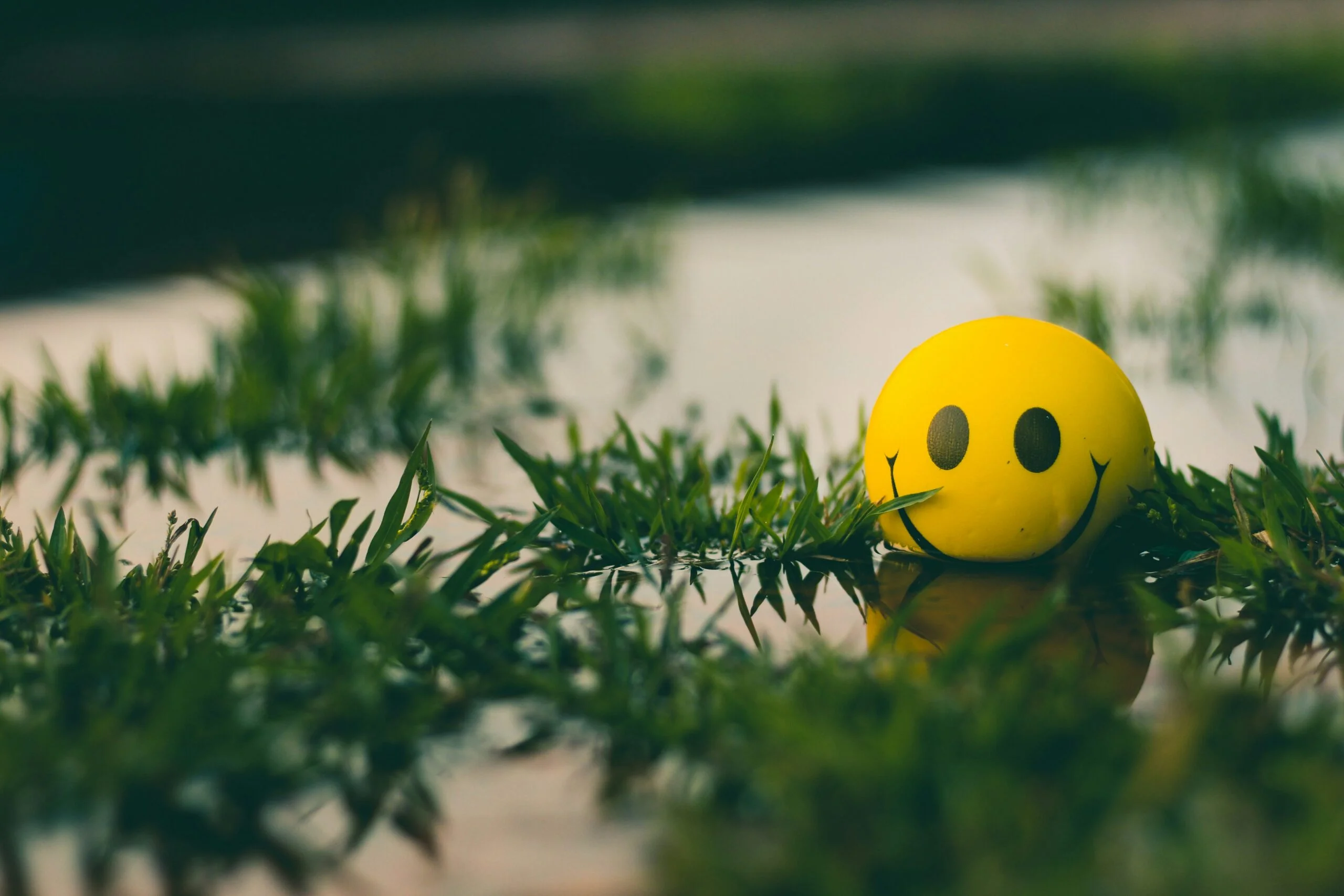 The Power of Positive Thinking: How to Cultivate a Positive Mindset