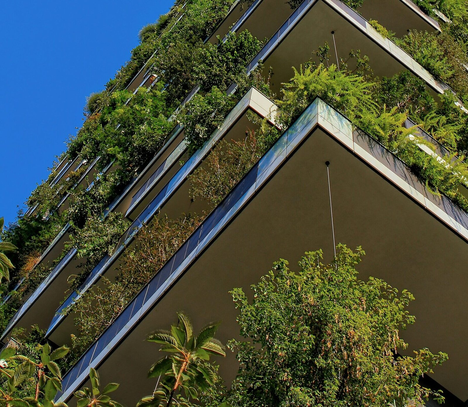 Green Building Practices | Sustainable Design for a Greener Future