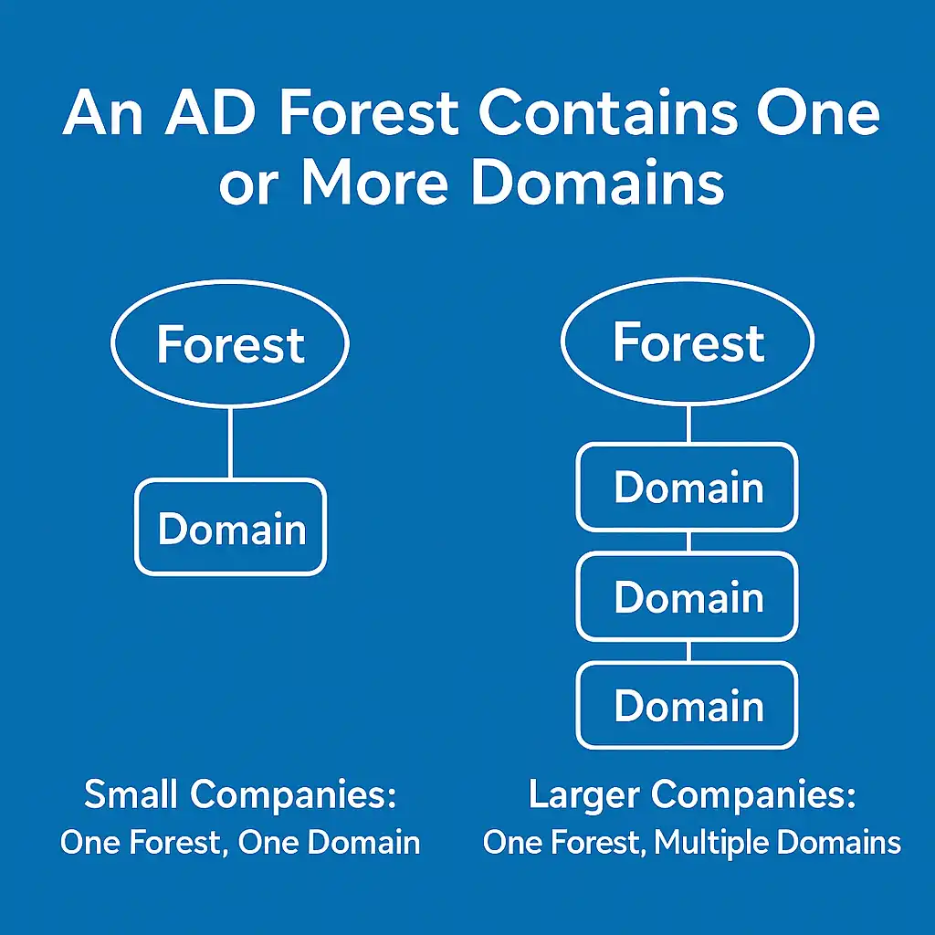 diagram showing a comparison between a single-domain forest for small companies and a multi-domain forest for larger companies.